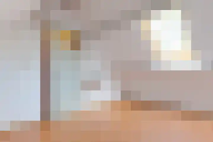 Hofakkers 12 Borger thumbnail 49