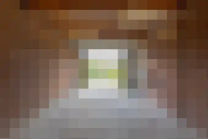 Hofakkers 12 Borger thumbnail 56