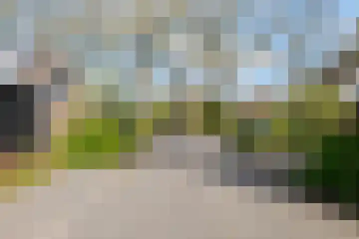 Hofakkers 12 Borger thumbnail 60