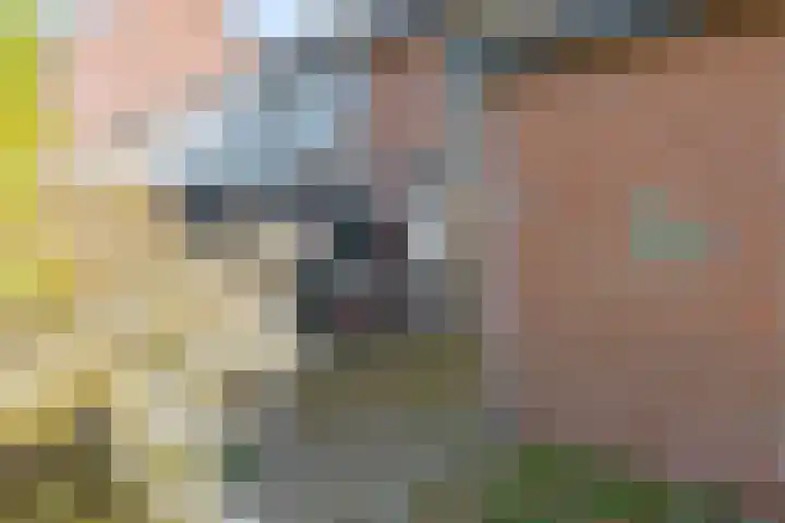 Hofakkers 12 Borger thumbnail 8