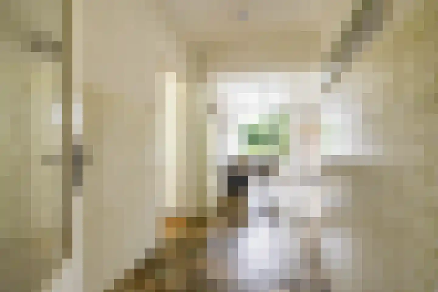 Hofakkers 26 Zuidlaren thumbnail 16