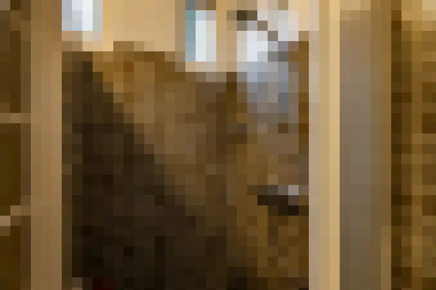Hofakkers 26 Zuidlaren thumbnail 34