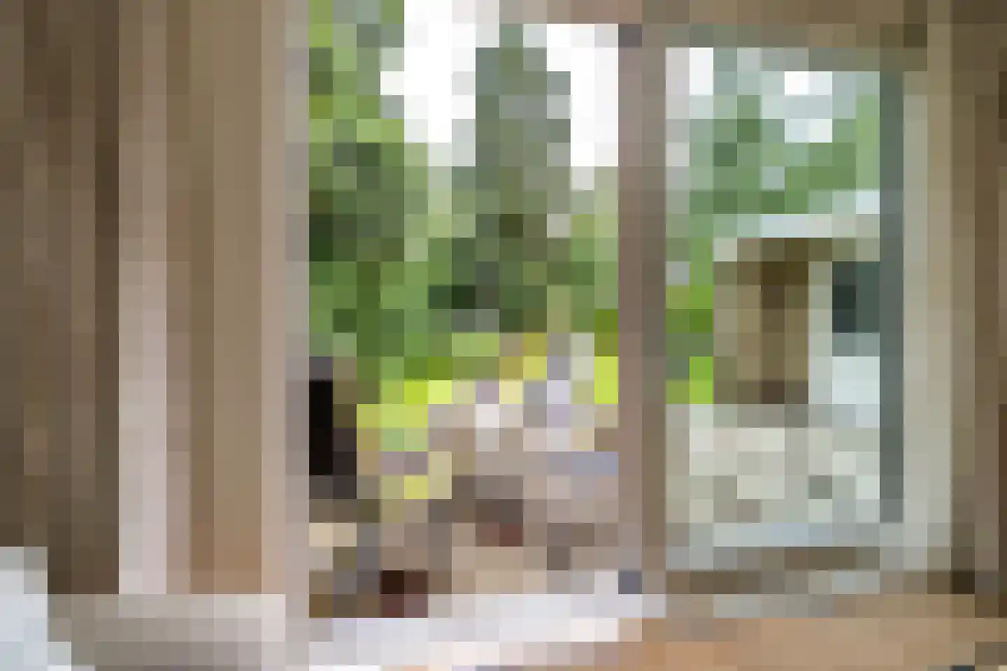 Hofakkers 26 Zuidlaren thumbnail 38
