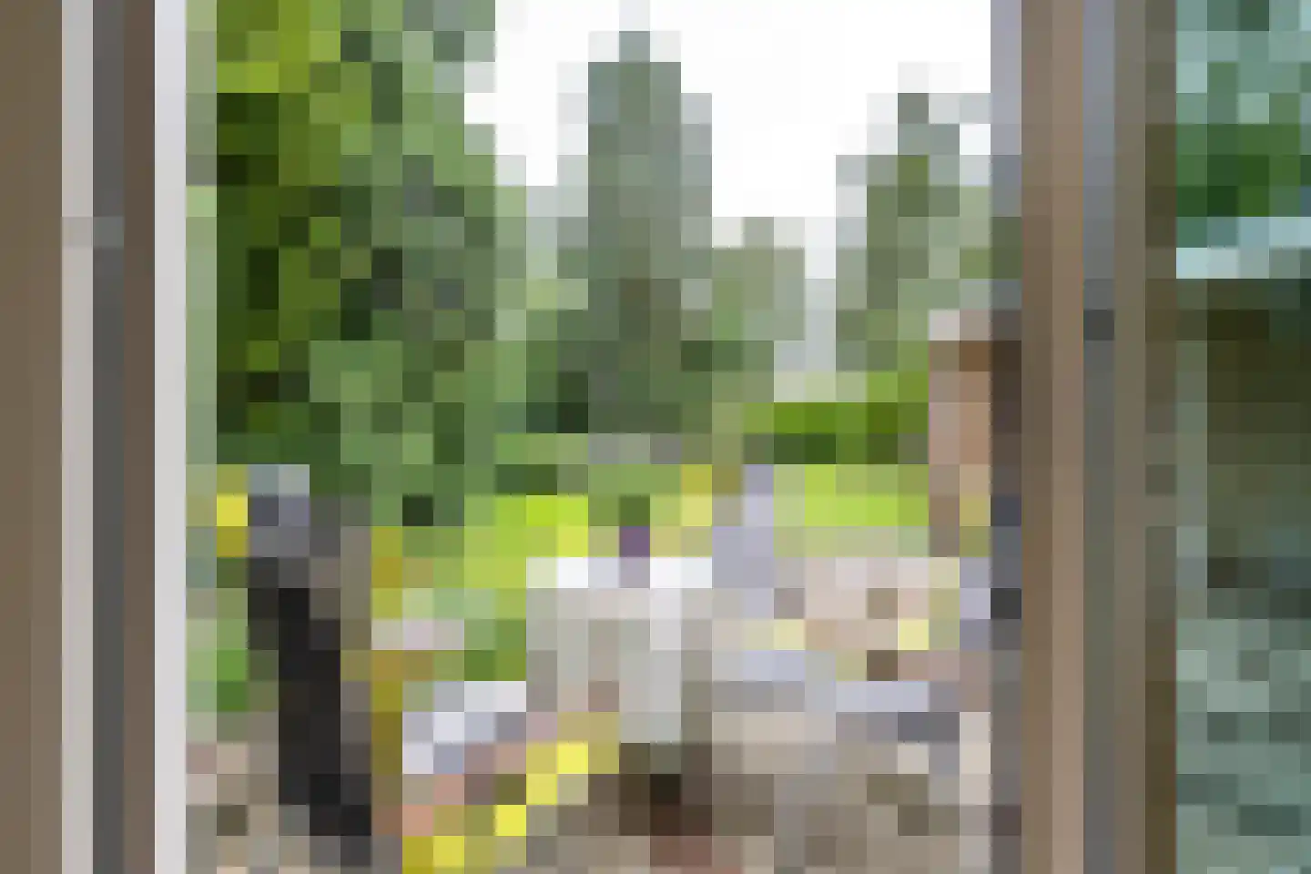 Hofakkers 26 Zuidlaren thumbnail 39