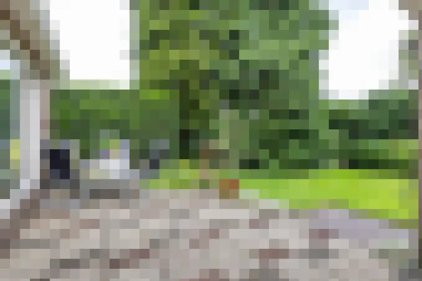 Hofakkers 26 Zuidlaren thumbnail 40
