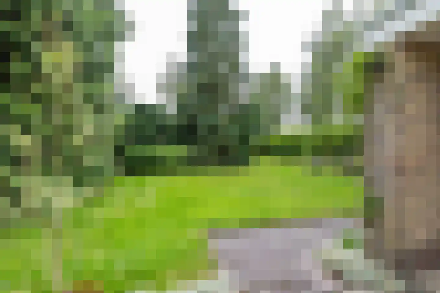 Hofakkers 26 Zuidlaren thumbnail 42