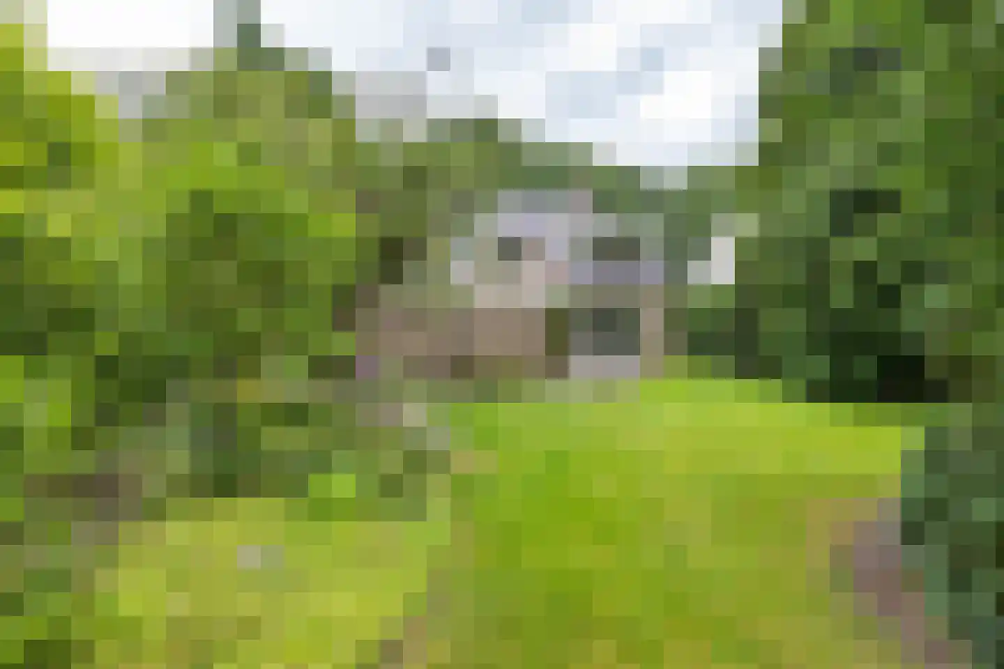 Hofakkers 26 Zuidlaren thumbnail 43