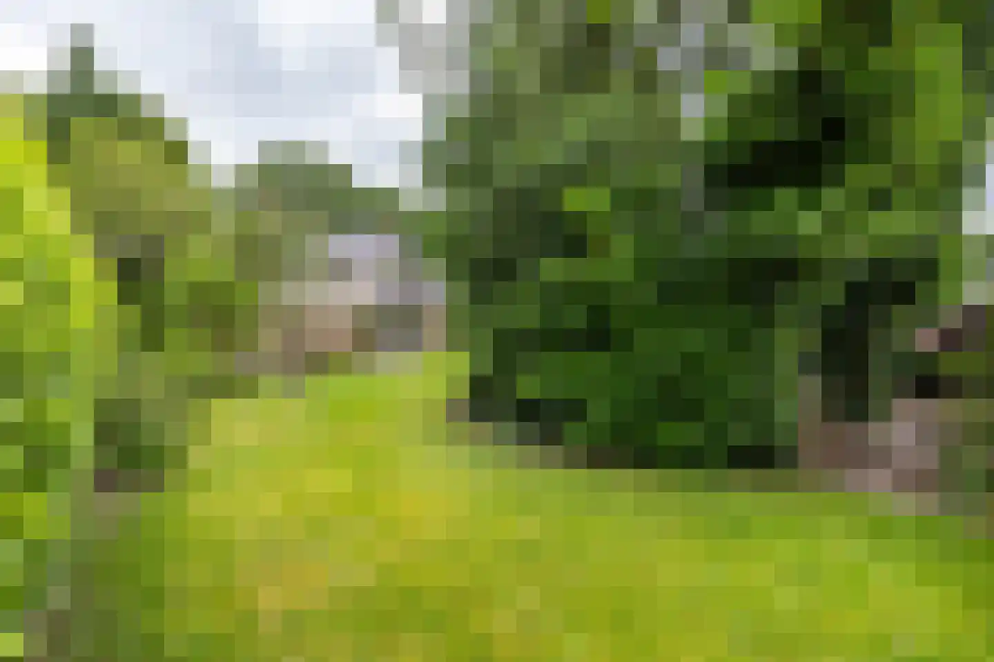 Hofakkers 26 Zuidlaren thumbnail 44