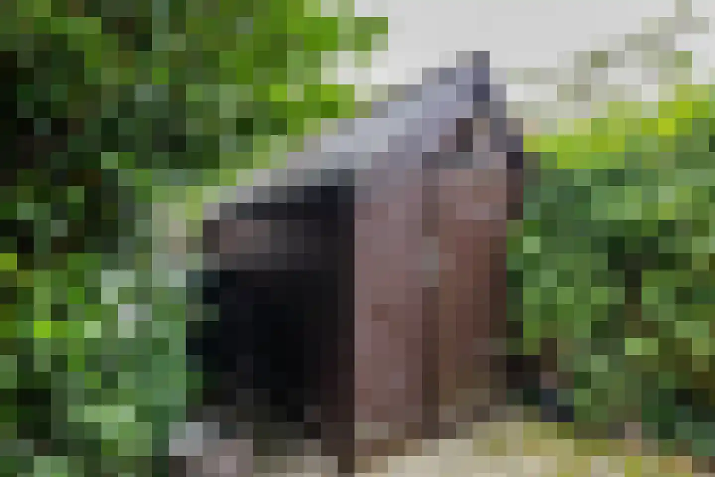 Hofakkers 26 Zuidlaren thumbnail 47
