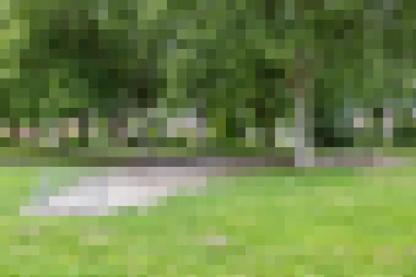 Hofakkers 26 Zuidlaren thumbnail 6