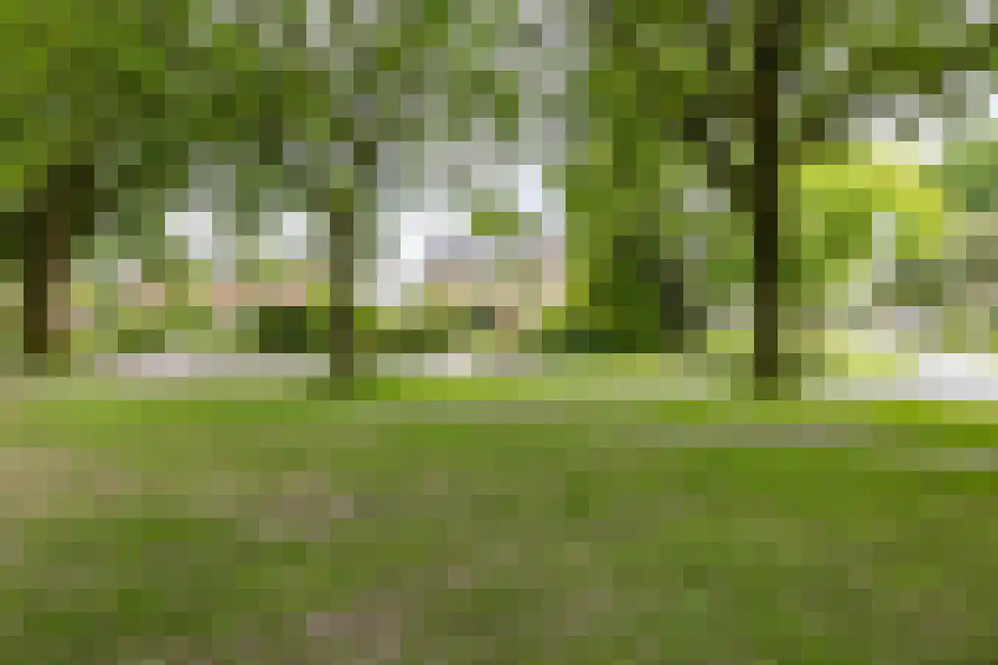 Hofakkers 26 Zuidlaren thumbnail 7