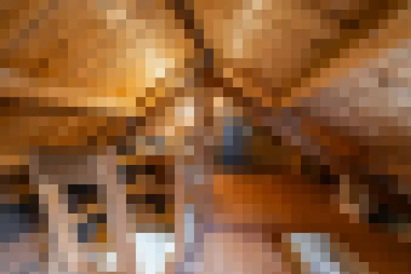 Hofakkers 26 Zuidlaren thumbnail 71