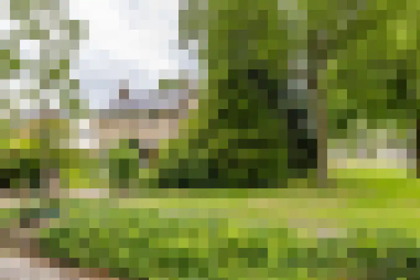 Hofakkers 26 Zuidlaren thumbnail 8