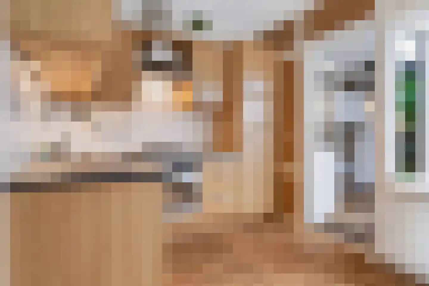 Hofakkers 27 Oosterhesselen thumbnail 11
