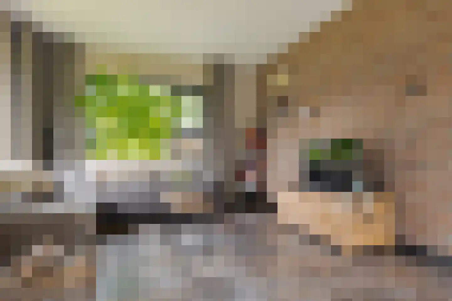 Hofakkers 3 Westerbork thumbnail 18