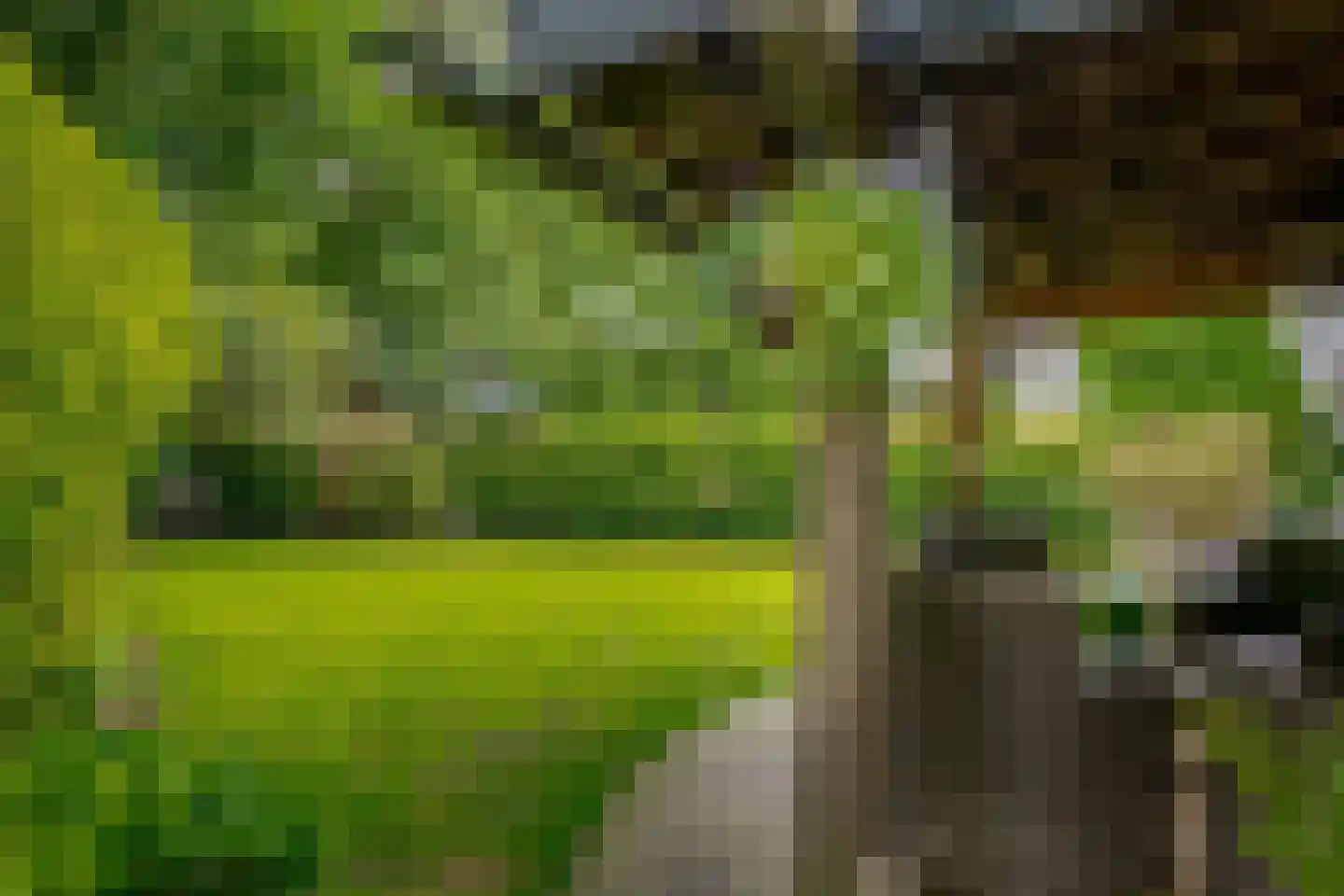 Hofakkers 3 Westerbork thumbnail 25