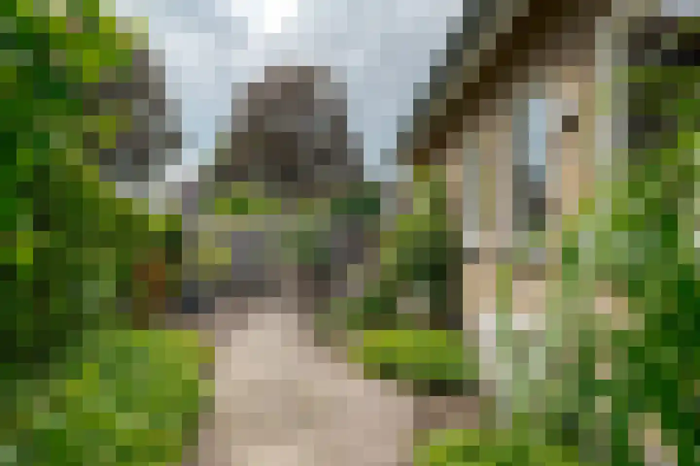 Hofakkers 3 Westerbork thumbnail 30