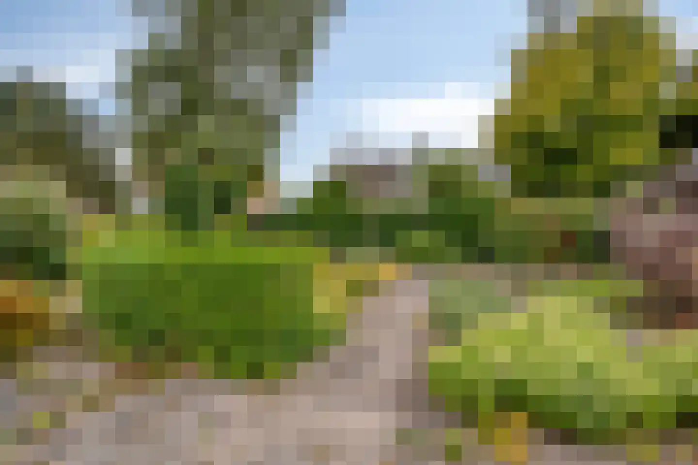 Hofakkers 42 Zuidlaren thumbnail 20