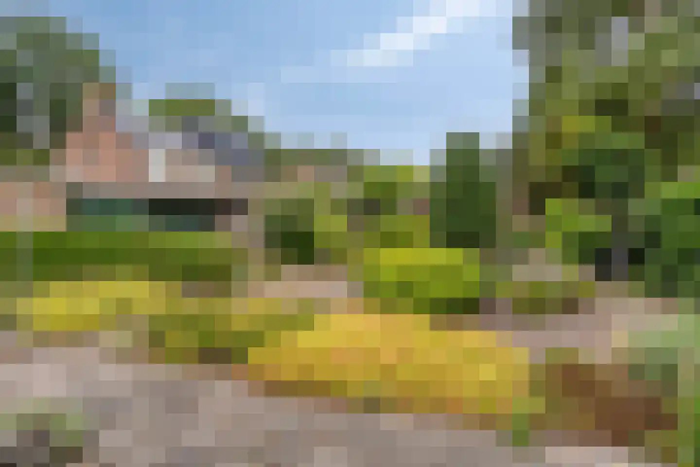 Hofakkers 42 Zuidlaren thumbnail 23