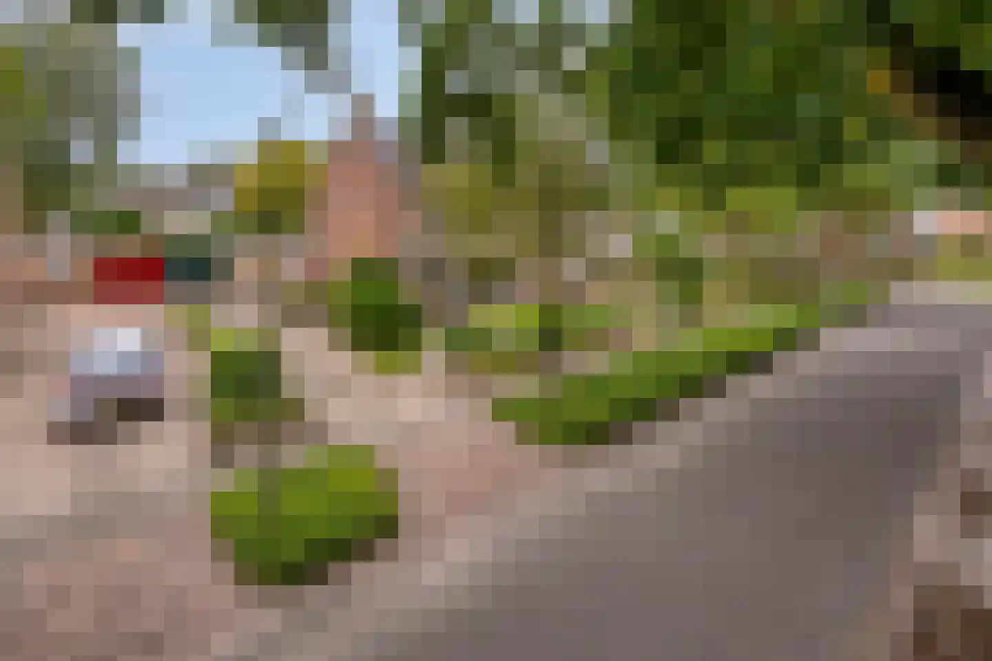 Hofakkers 42 Zuidlaren thumbnail 31