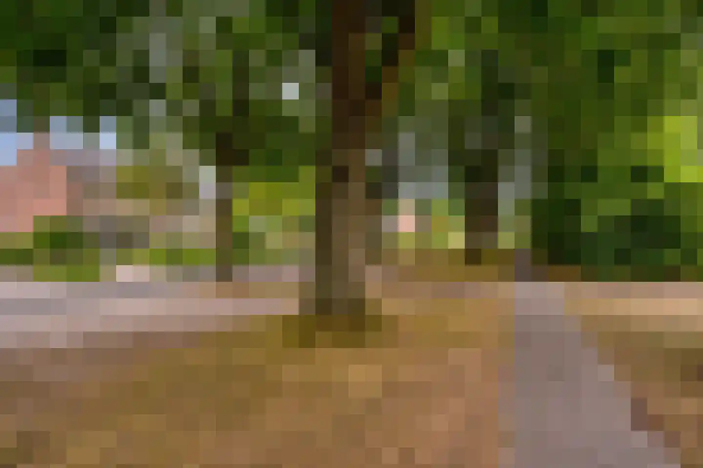 Hofakkers 42 Zuidlaren thumbnail 32