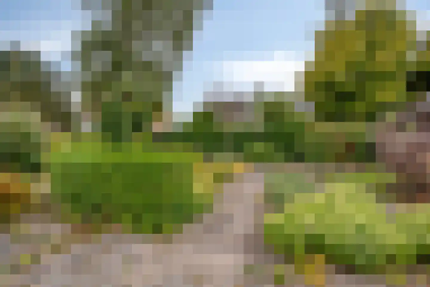 Hofakkers 42 Zuidlaren thumbnail 4