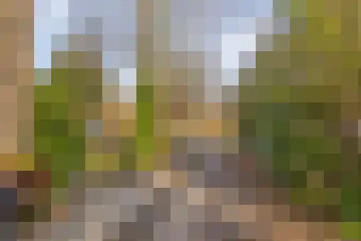 Hofakkers 57 Annen thumbnail 42