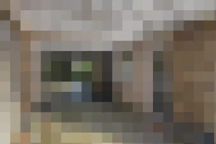 Hofakkers 57 Annen thumbnail 43