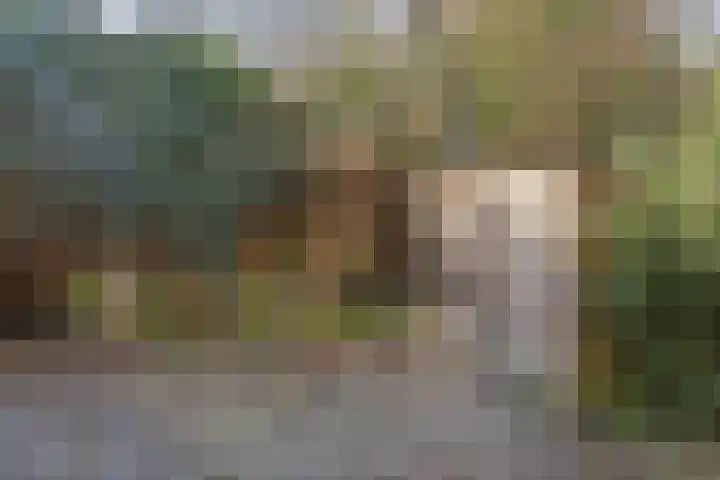 Hofakkers 57 Annen thumbnail 44