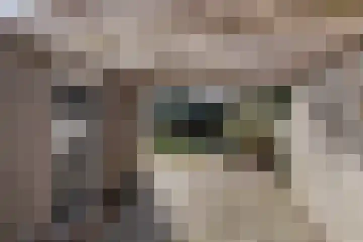 Hofakkers 57 Annen thumbnail 47