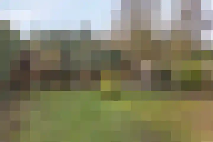 Hofakkers 57 Annen thumbnail 49