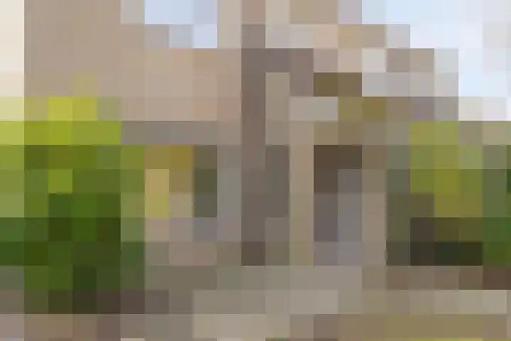 Hofakkers 57 Annen thumbnail 51