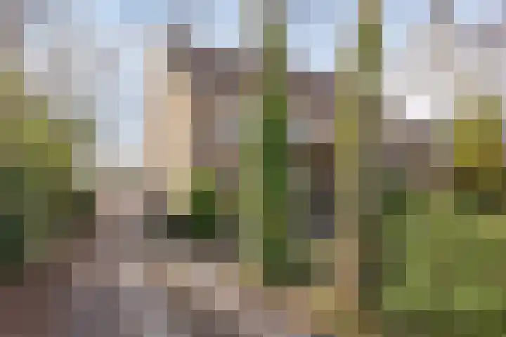 Hofakkers 57 Annen thumbnail 52