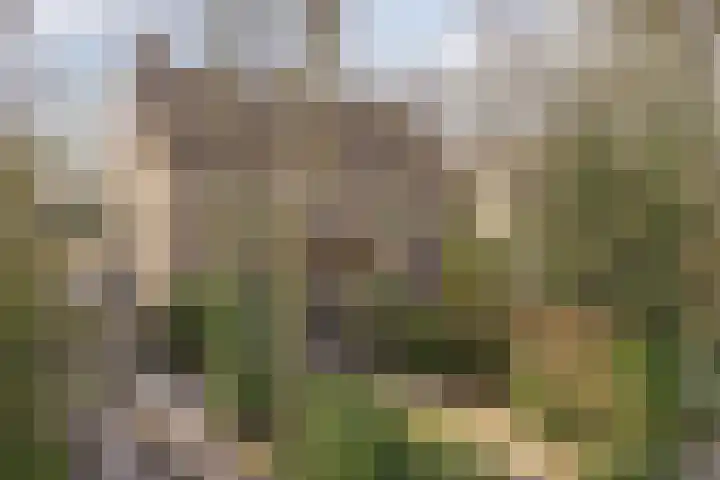 Hofakkers 57 Annen thumbnail 54