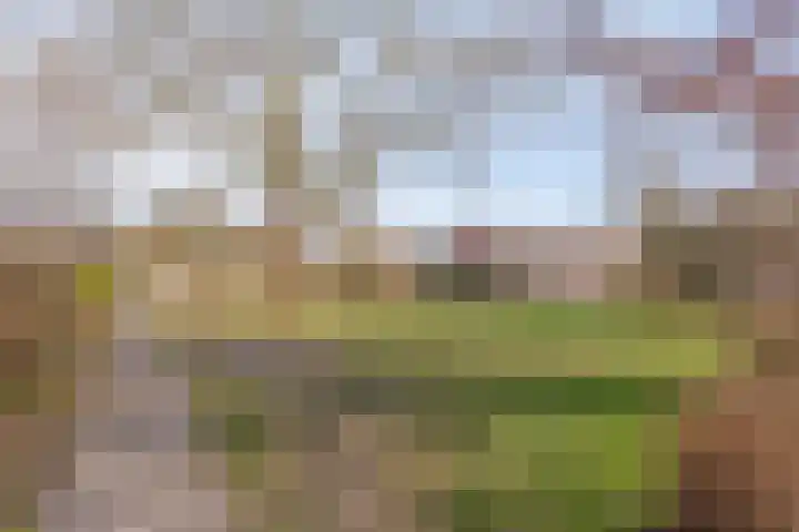 Hofakkers 57 Annen thumbnail 56
