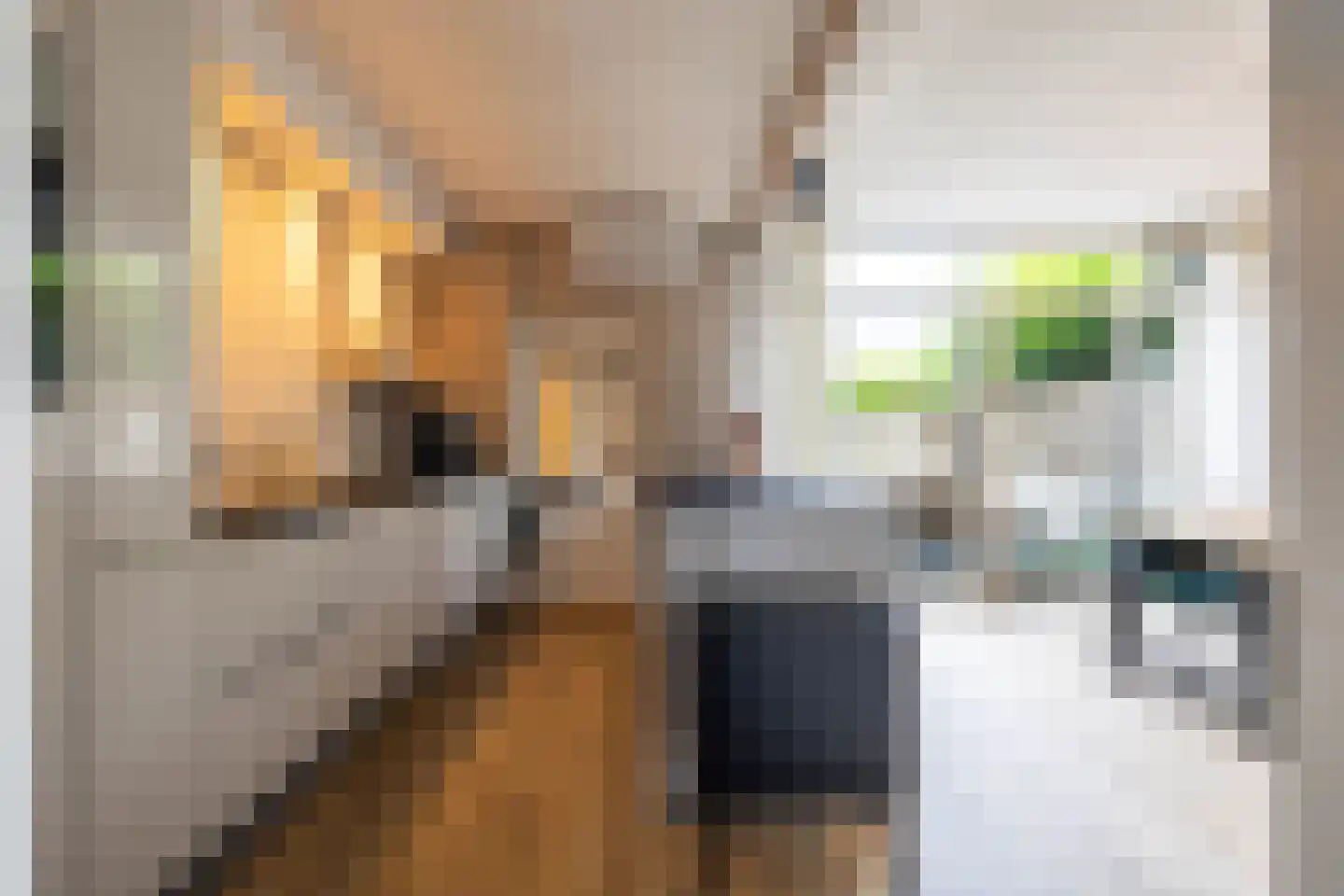 Hofakkers 68 Annen thumbnail 10