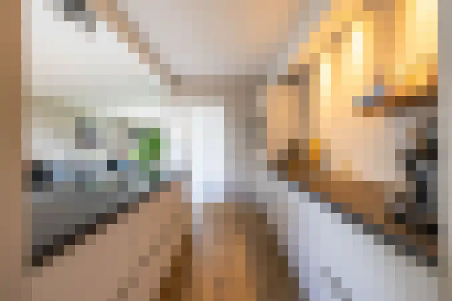 Hofakkers 68 Annen thumbnail 21