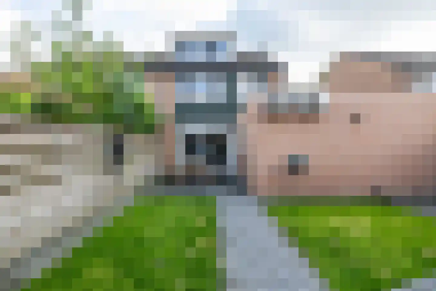 Hofakkers 68 Annen thumbnail 40