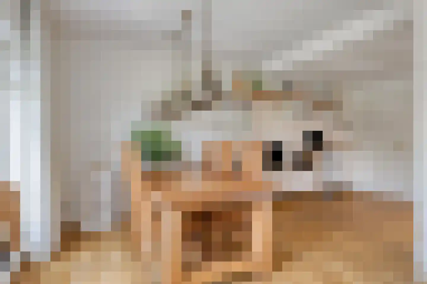 Hofakkers 9 Grolloo thumbnail 17