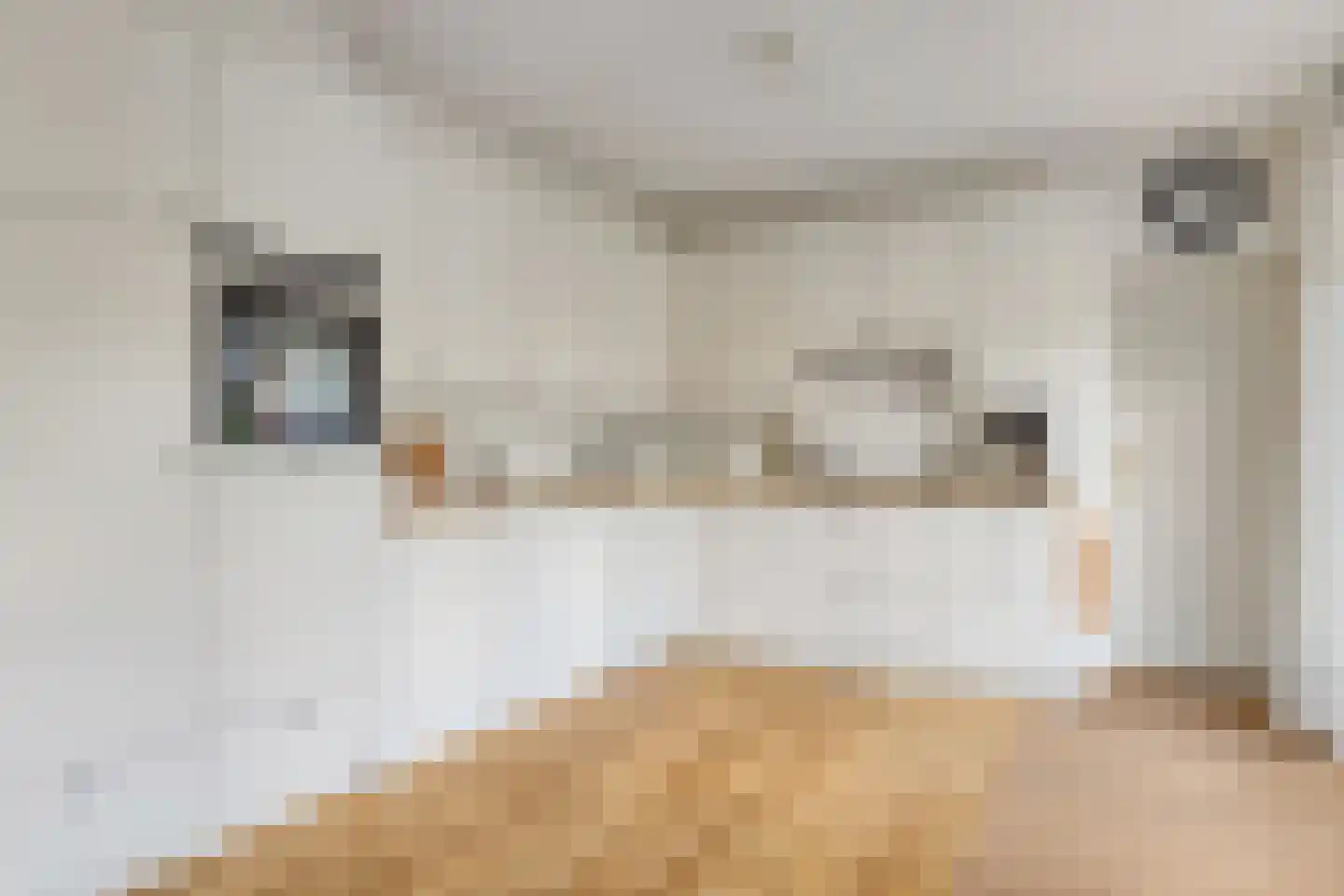 Hofakkers 9 Grolloo thumbnail 18