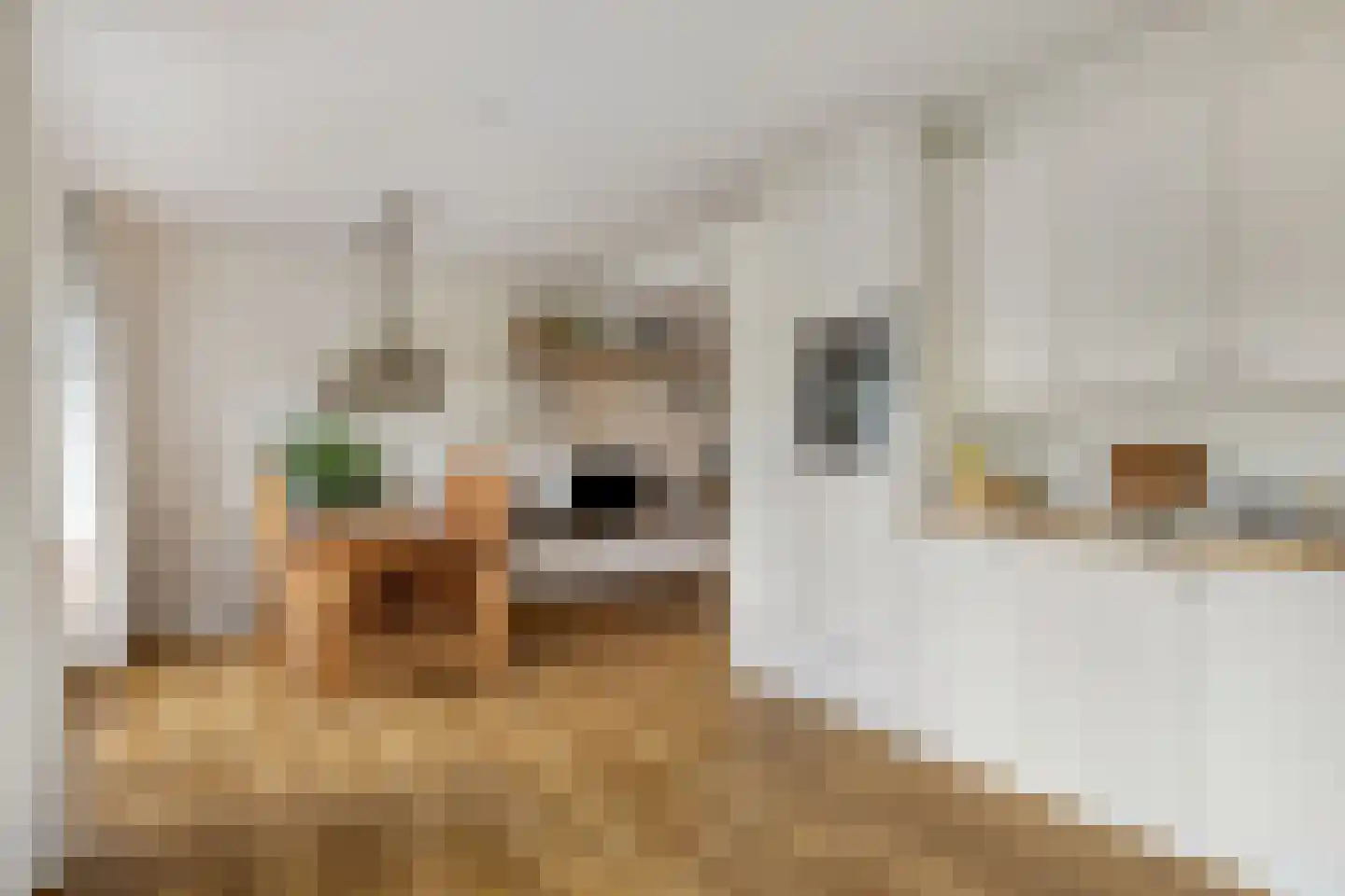Hofakkers 9 Grolloo thumbnail 20