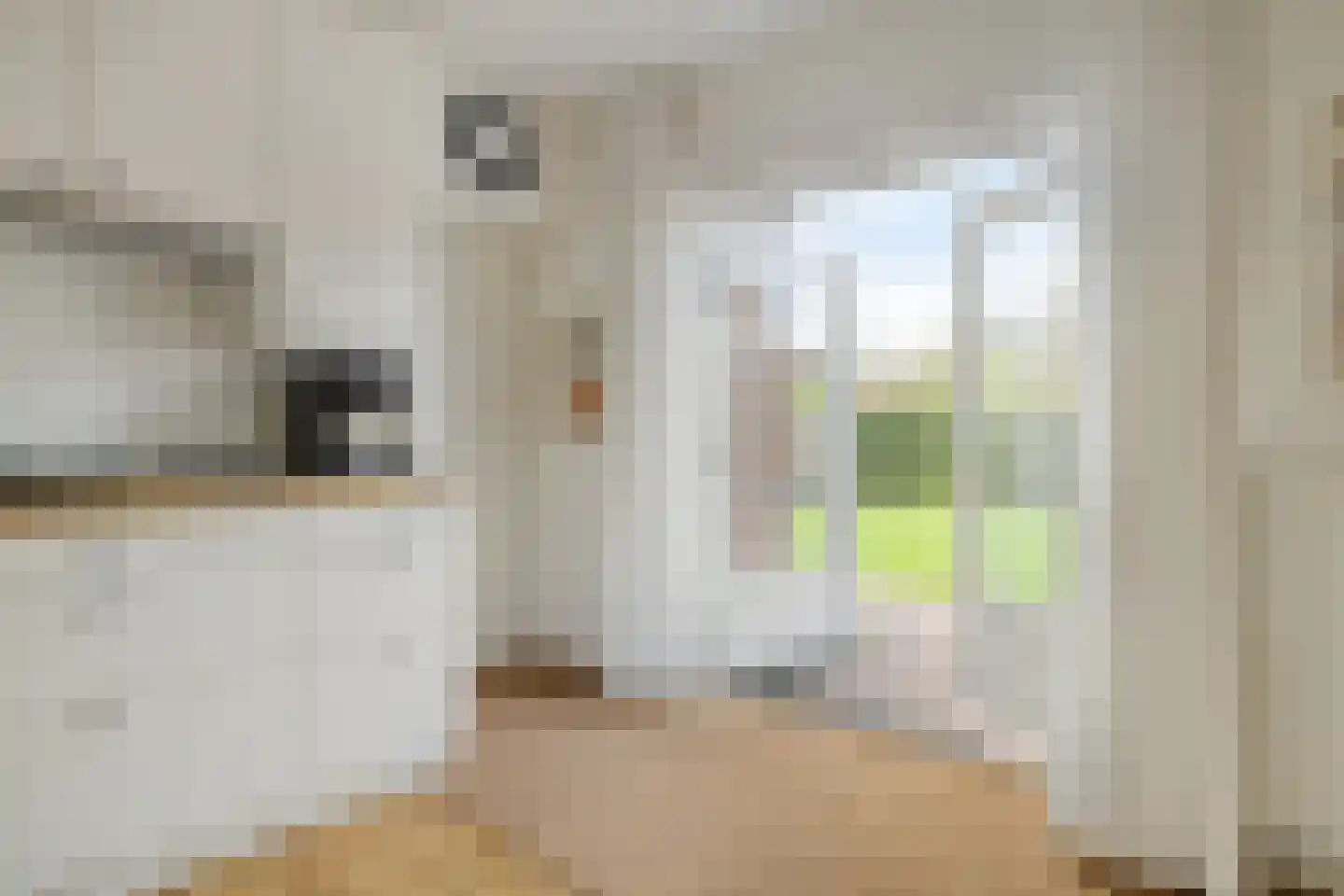Hofakkers 9 Grolloo thumbnail 22
