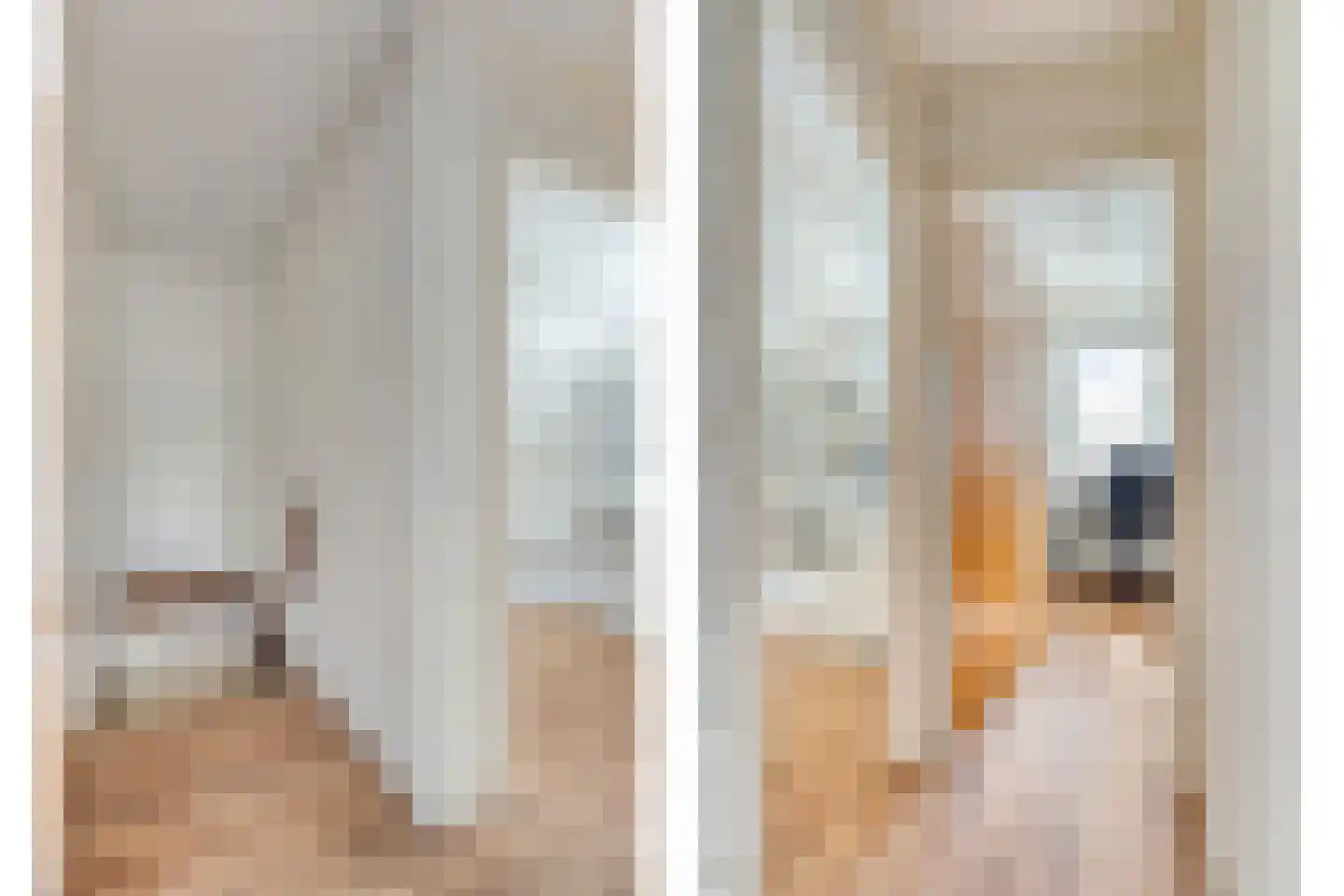 Hofakkers 9 Grolloo thumbnail 26
