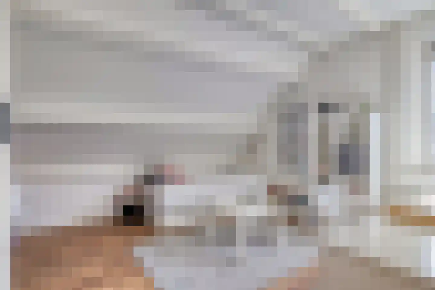 Hofakkers 9 Grolloo thumbnail 35