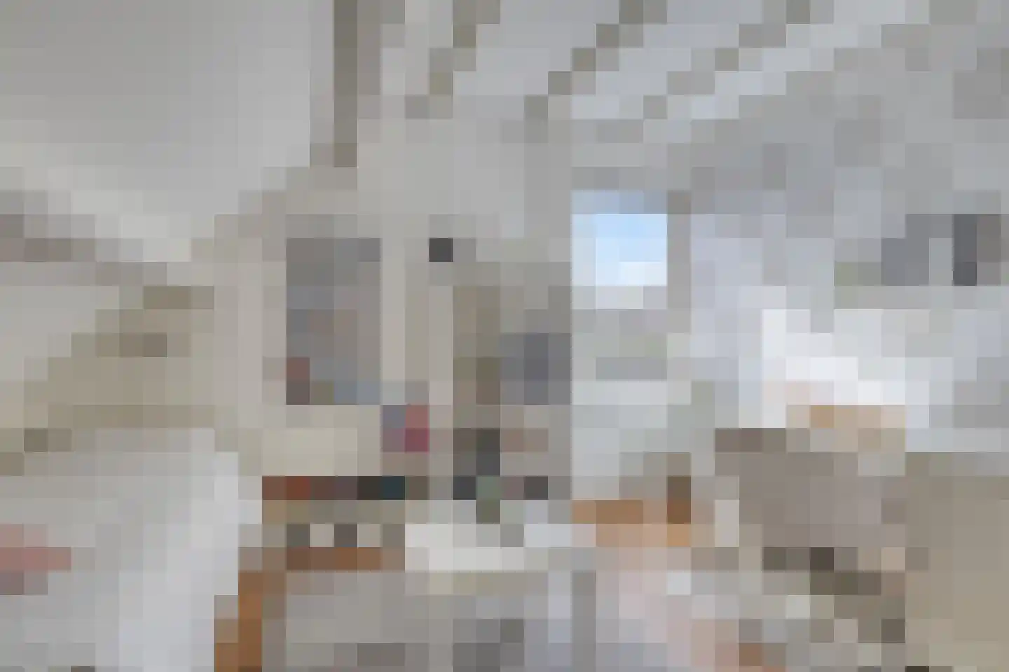 Hofakkers 9 Grolloo thumbnail 36