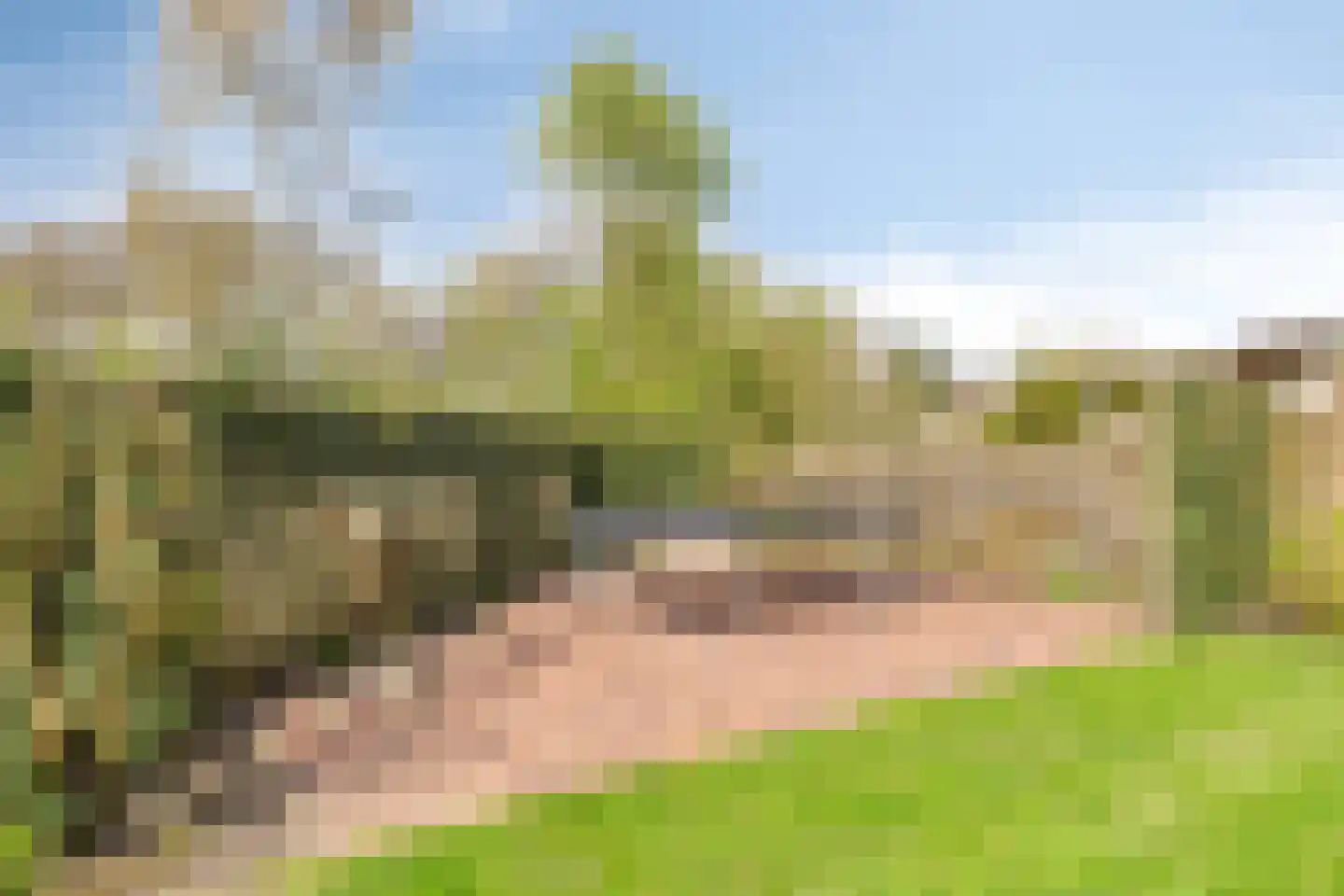 Hofakkers 9 Grolloo thumbnail 41