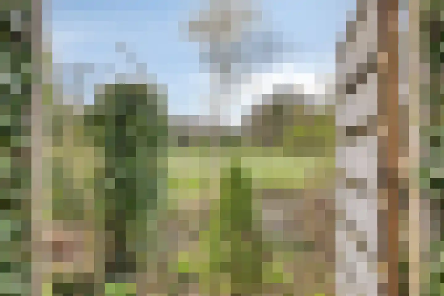 Hofakkers 9 Grolloo thumbnail 47