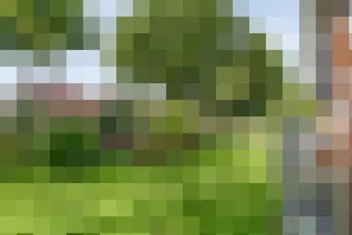 Hofakkersweg 1 Exloo thumbnail 11