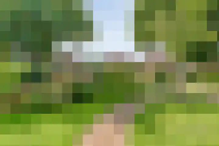 Hofakkersweg 1 Exloo thumbnail 12