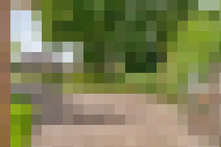 Hofakkersweg 1 Exloo thumbnail 13